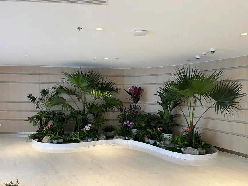 想知道杭州湾植物租赁价格?这里有答案!